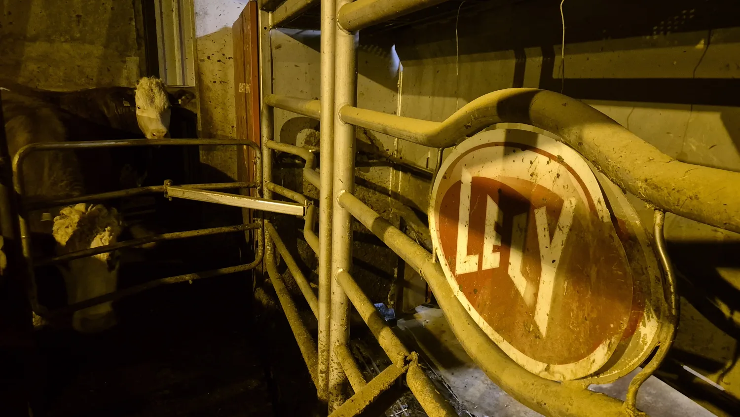 Lely Astronaut A3 Next