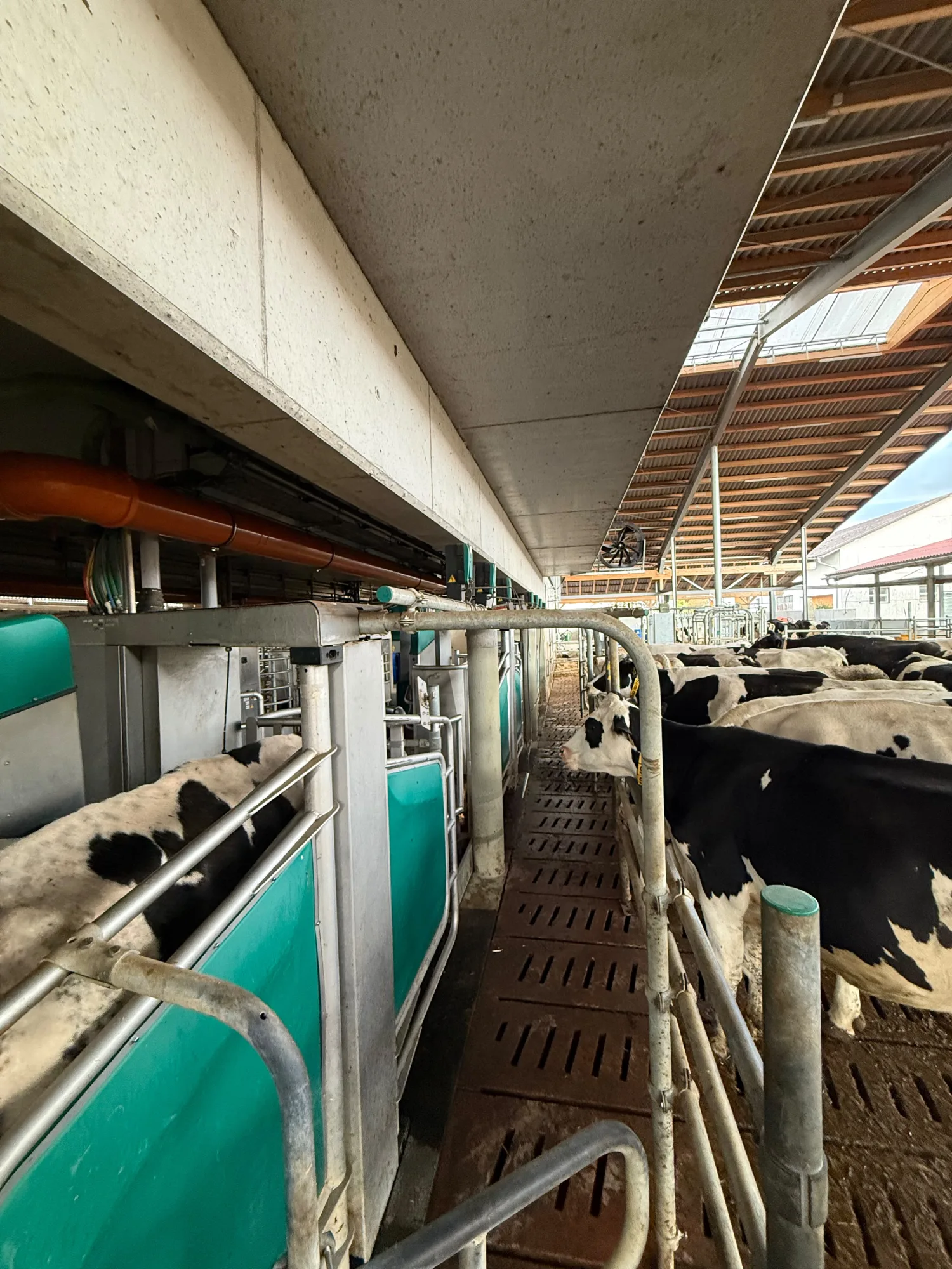 Selektion und Guided Exit Systeme