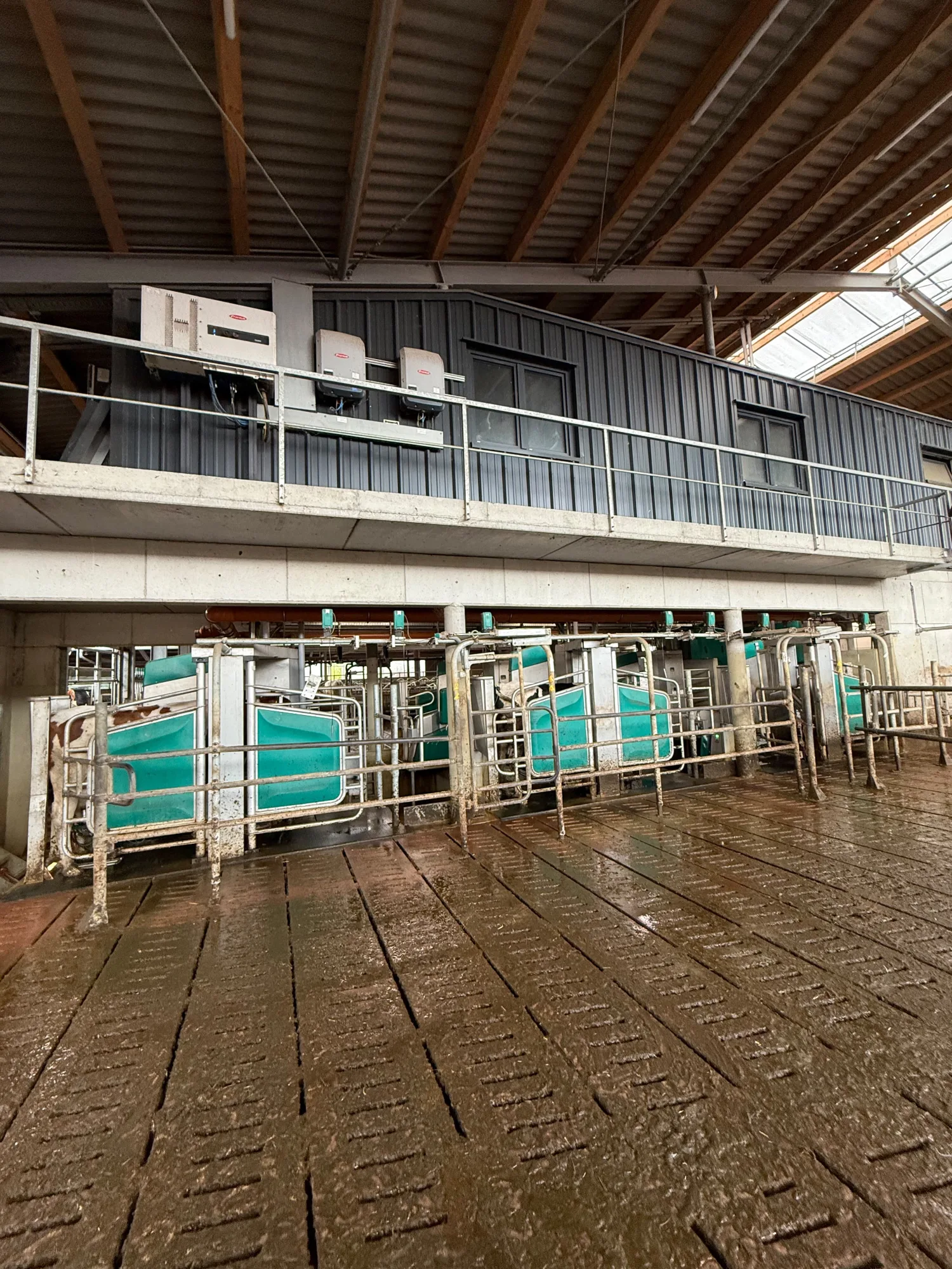 Selektion und Guided Exit Systeme