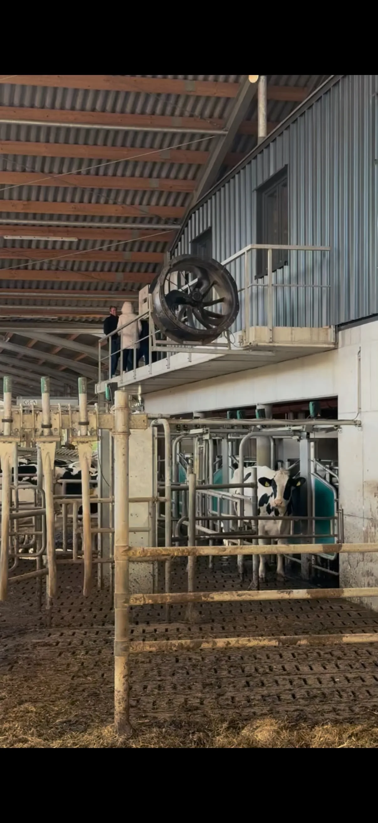 Selektion und Guided Exit Systeme