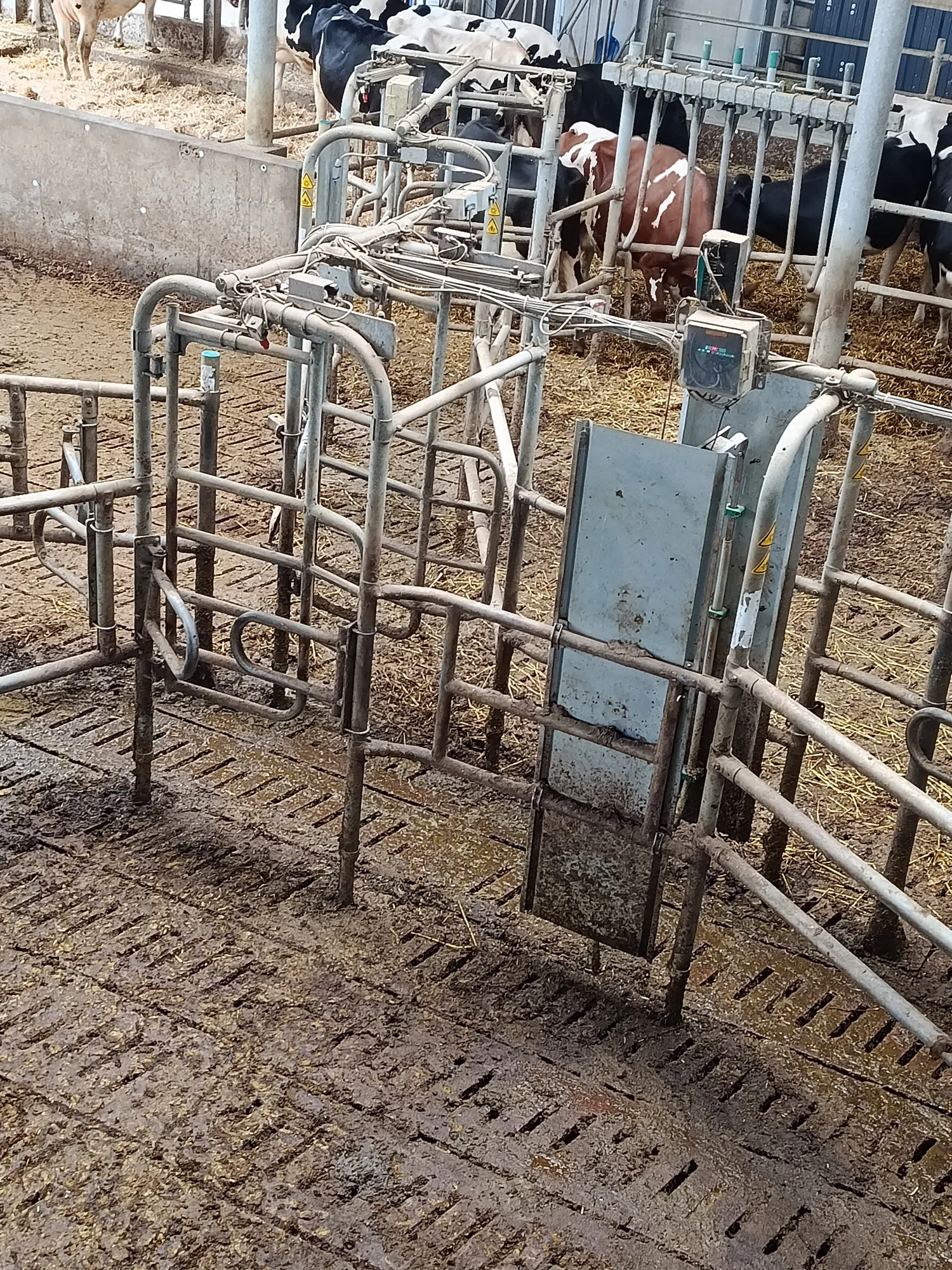 Selektion und Guided Exit Systeme
