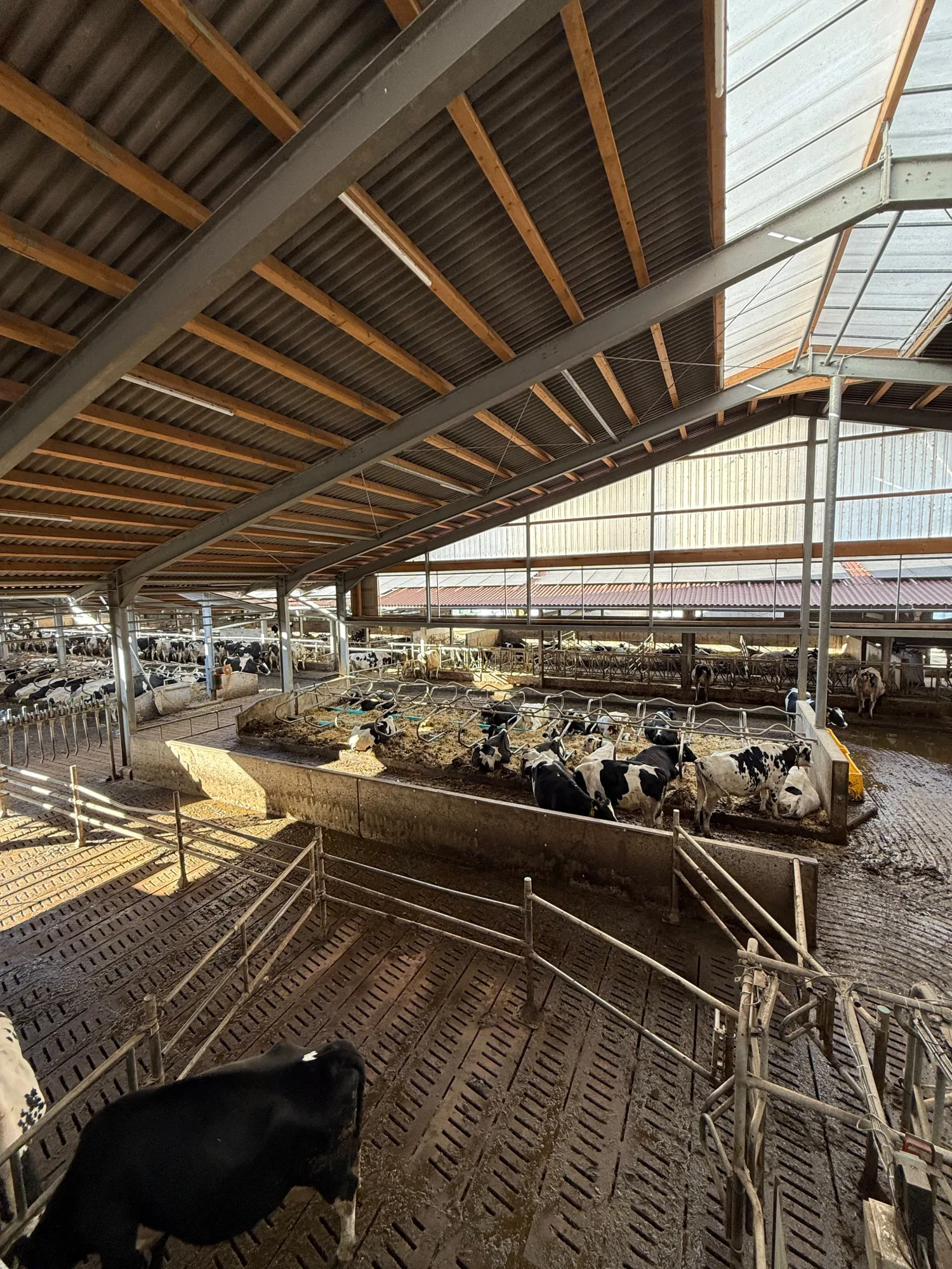 Selektion und Guided Exit Systeme